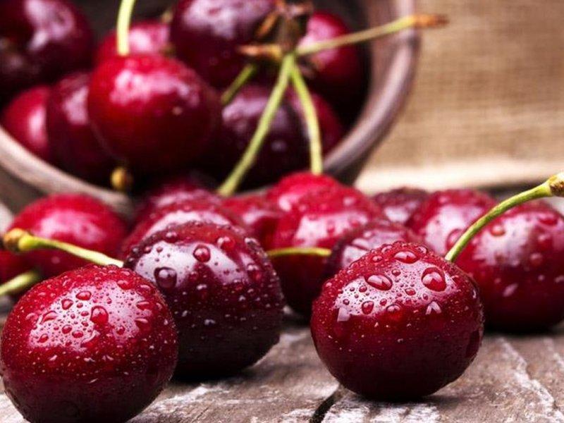 Вишня купить саженцы из питомника в Кинешме